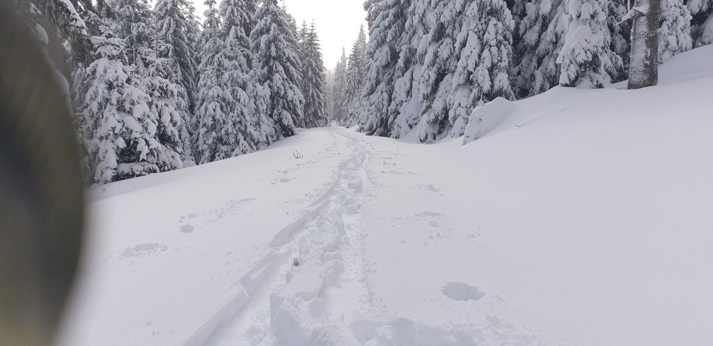 trasa skiturowa koprivna