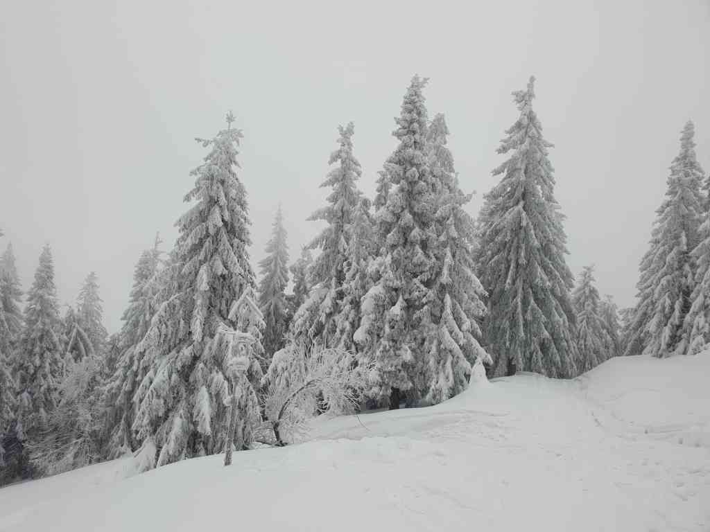 Szlak skiturowy z hali lipowskiej