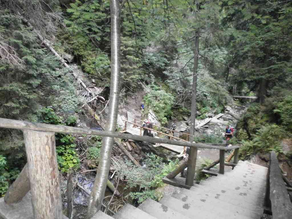 drewniane schody na szlaku