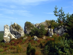 jura skałki