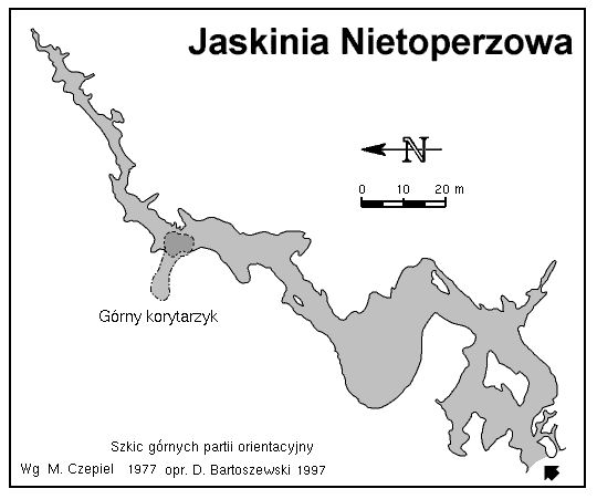 Jaskinia Nietoperzowa mapa