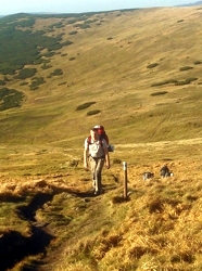 Tatry niżne szlaki turystyczne